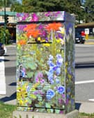 A utility cabinet wrapped in colourful garden imagery
